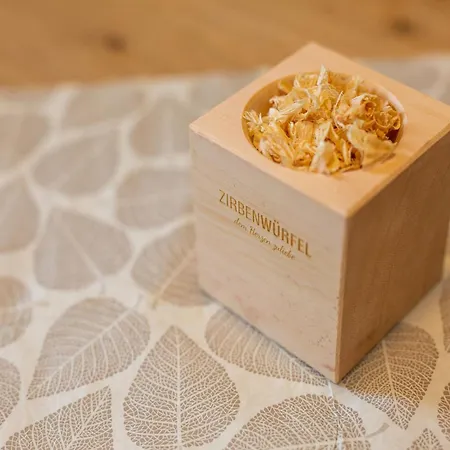 In Am Skilift Апартаменты *